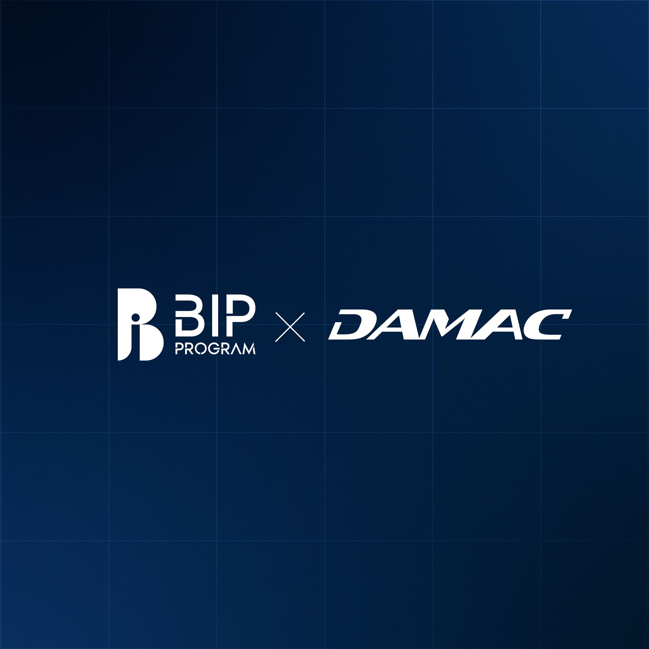 BIP X DAMAC logo
