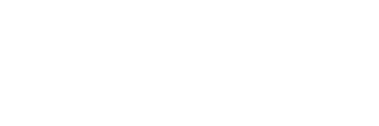 null logo