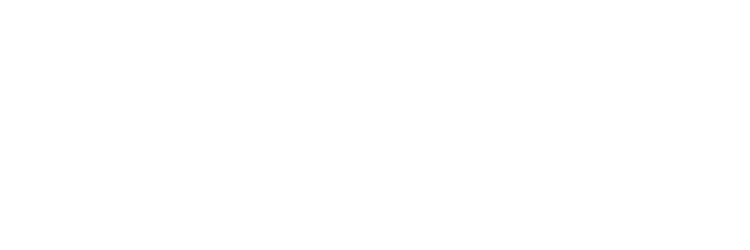 null logo