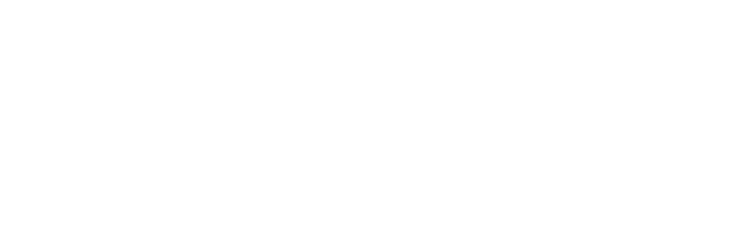 null logo