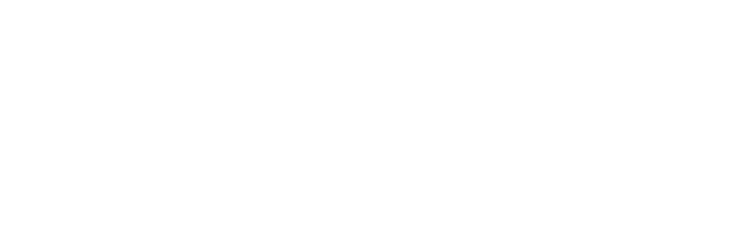 null logo