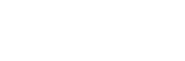 null logo