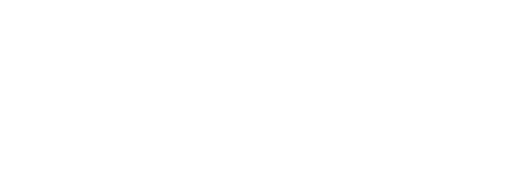 null logo