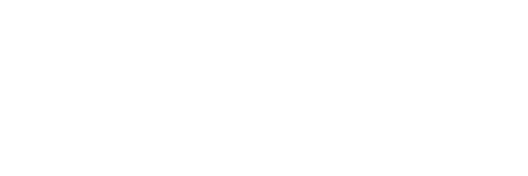 null logo