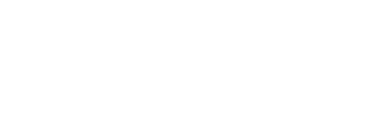 null logo