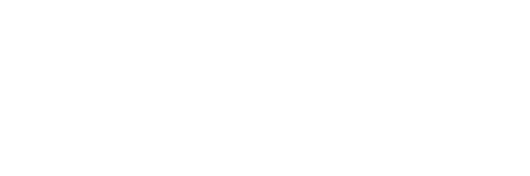 null logo