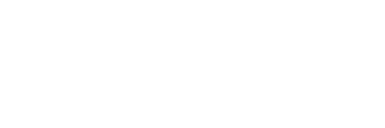 null logo