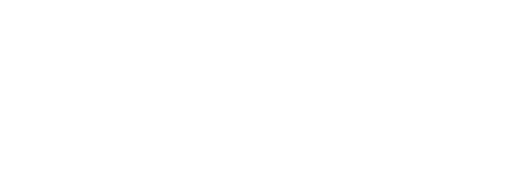 null logo