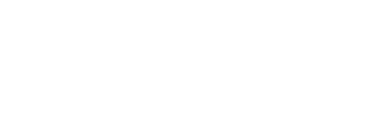 null logo