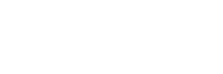 null logo