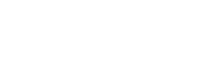 null logo