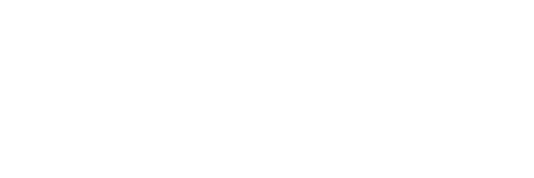 null logo