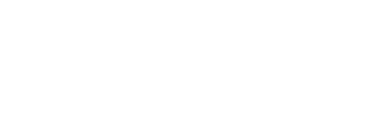 null logo