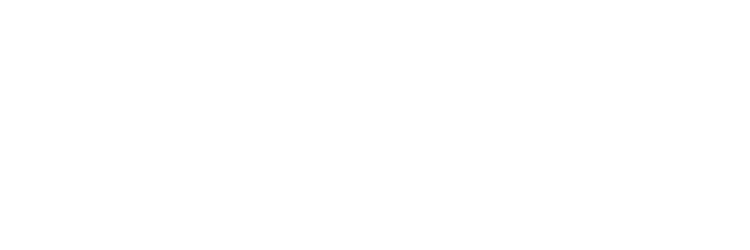 null logo