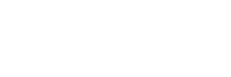 null logo