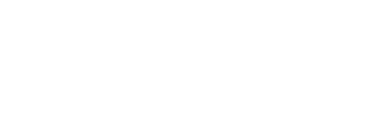 null logo