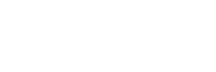 null logo