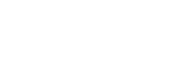 null logo
