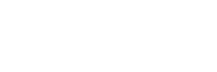 null logo