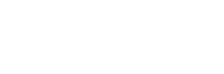 null logo