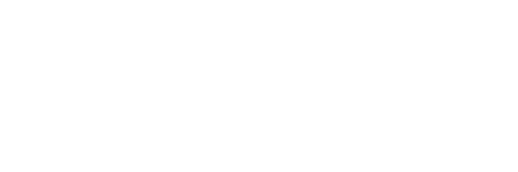 null logo