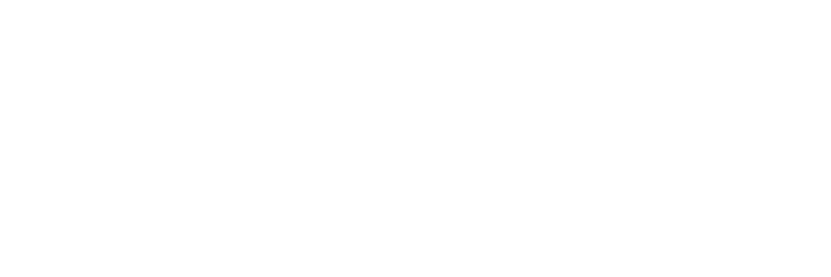null logo
